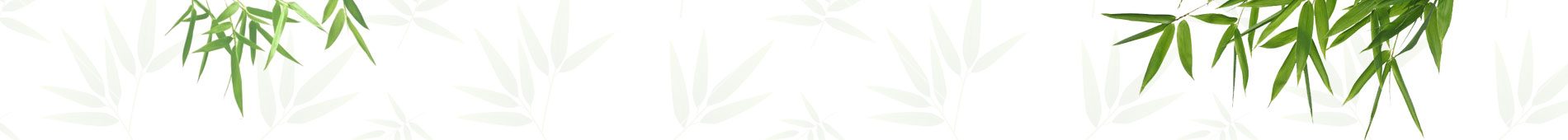 Nhang Sạch Trúc Lâm