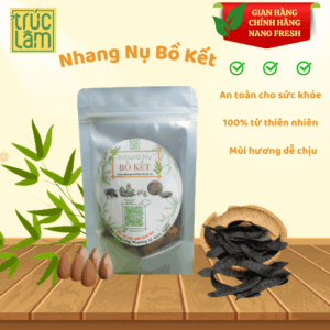 NHANG NỤ BỒ KẾT TRÚC LÂM