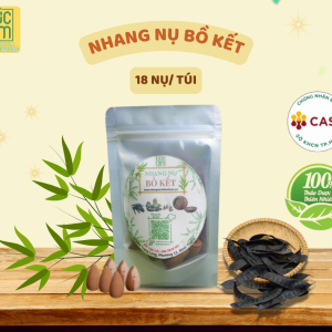 NHANG NỤ BỒ KẾT TRÚC LÂM