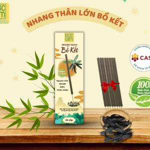 NHANG CÂY BỒ KẾT THÂN LỚN - 21CM