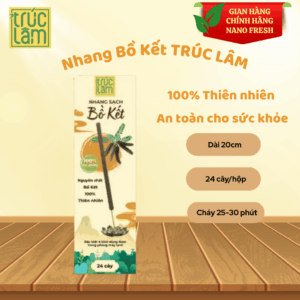 NHANG CÂY BỒ KẾT THÂN LỚN - 20CM
