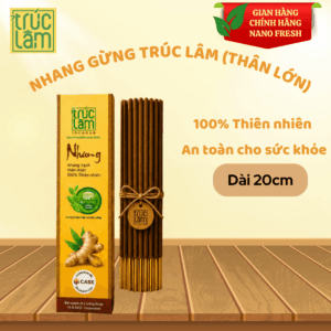 NHANG GỪNG THÂN LỚN - 20 CM