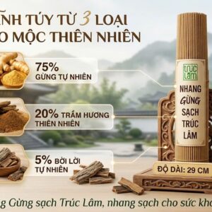 Nhang sạch thảo dược Trúc Lâm – Gừng